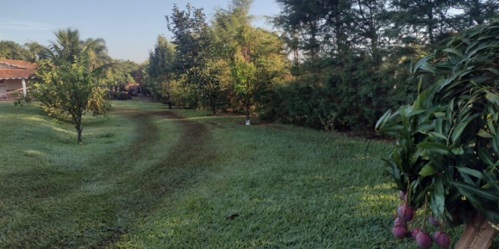 491704833_9393881144041066_9046500514063429578_n