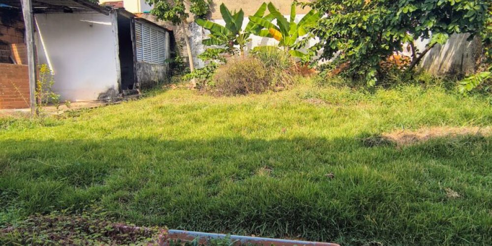 IMG_20250429_095648234_HDR_AE