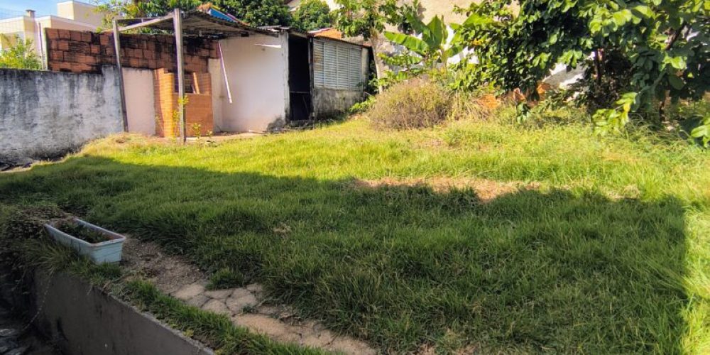 IMG_20250429_095730168_HDR_AE