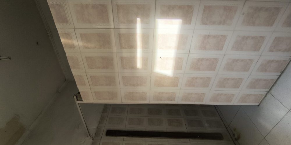 IMG_20250520_143534074_HDR