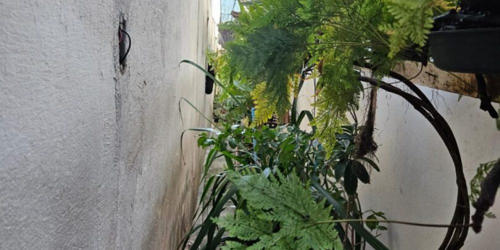 WhatsApp Image 2025-08-08 at 11.20.10 (3)