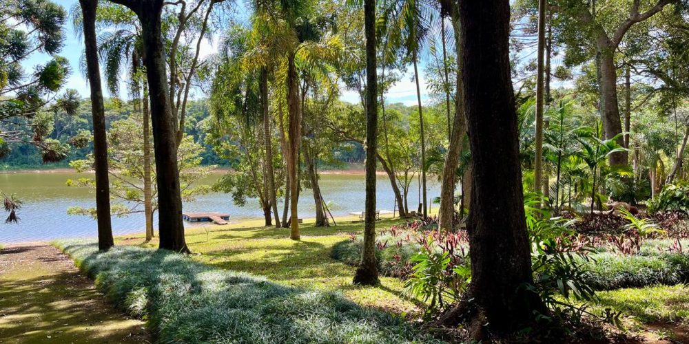 WhatsApp Image 2026-04-01 at 10.42.05 (2)