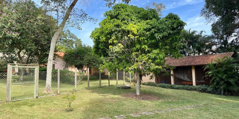 WhatsApp Image 2026-04-01 at 10.42.05