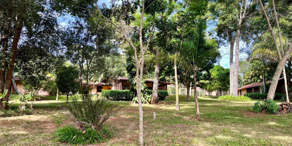 WhatsApp Image 2026-04-01 at 10.42.07